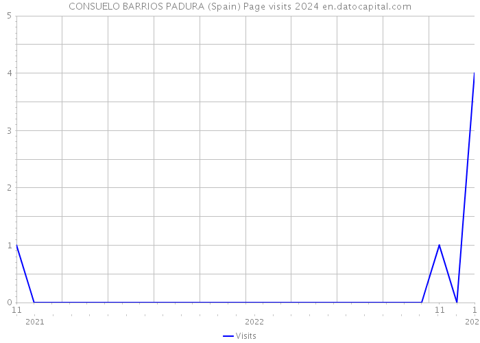 CONSUELO BARRIOS PADURA (Spain) Page visits 2024 
