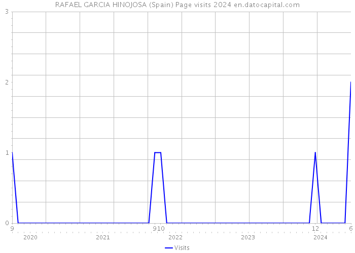 RAFAEL GARCIA HINOJOSA (Spain) Page visits 2024 