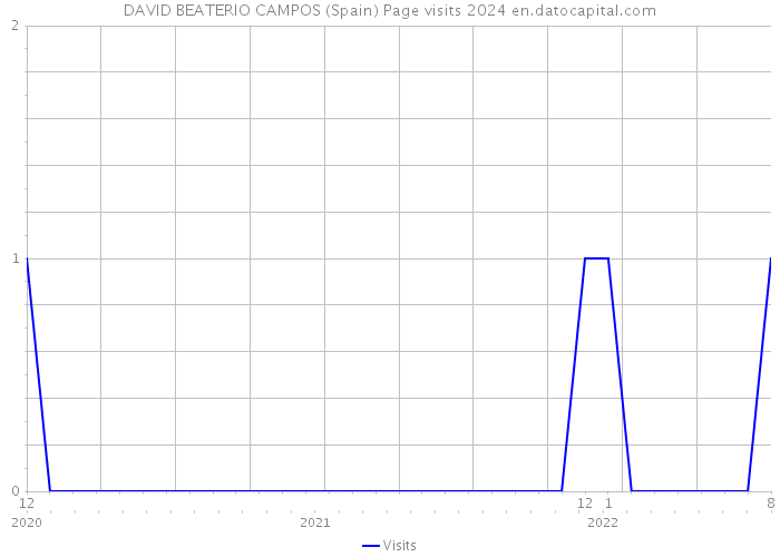 DAVID BEATERIO CAMPOS (Spain) Page visits 2024 
