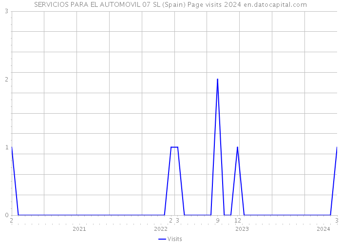 SERVICIOS PARA EL AUTOMOVIL 07 SL (Spain) Page visits 2024 