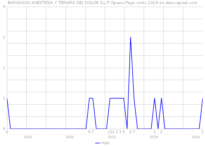 BARNASON ANESTESIA Y TERAPIA DEL DOLOR S.L.P (Spain) Page visits 2024 