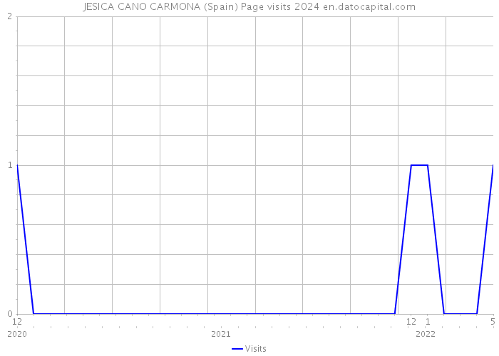 JESICA CANO CARMONA (Spain) Page visits 2024 