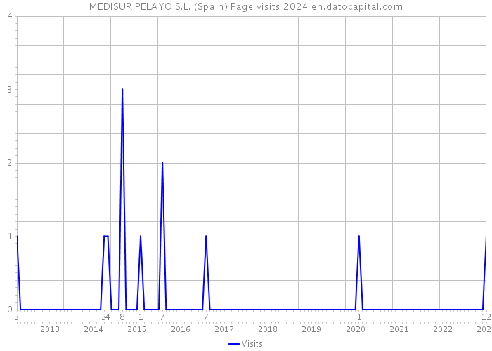 MEDISUR PELAYO S.L. (Spain) Page visits 2024 