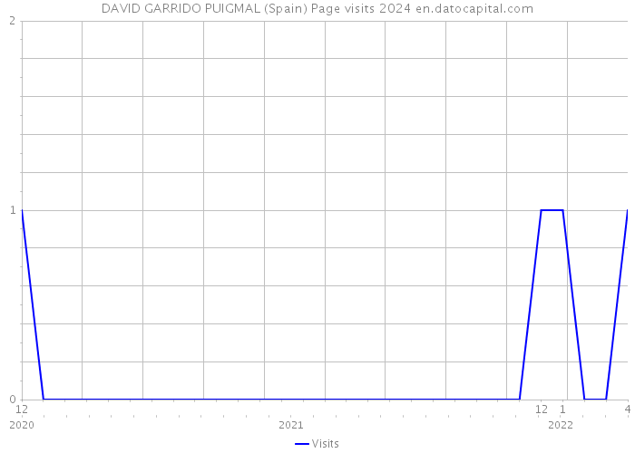 DAVID GARRIDO PUIGMAL (Spain) Page visits 2024 