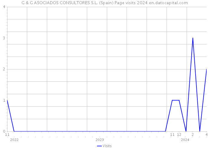 G & G ASOCIADOS CONSULTORES S.L. (Spain) Page visits 2024 