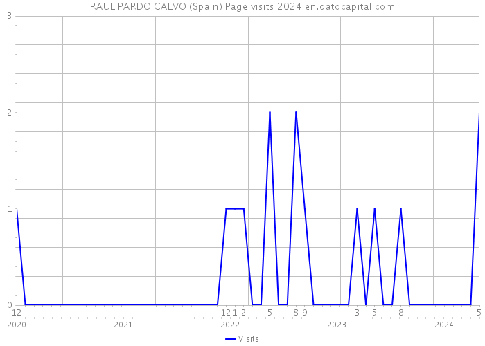 RAUL PARDO CALVO (Spain) Page visits 2024 