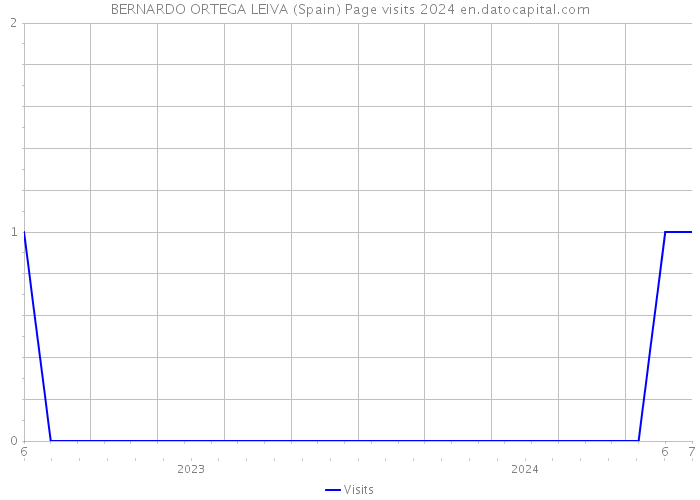 BERNARDO ORTEGA LEIVA (Spain) Page visits 2024 