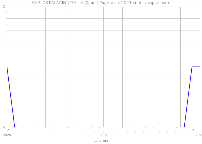 CARLOS PALACIN VITALLA (Spain) Page visits 2024 
