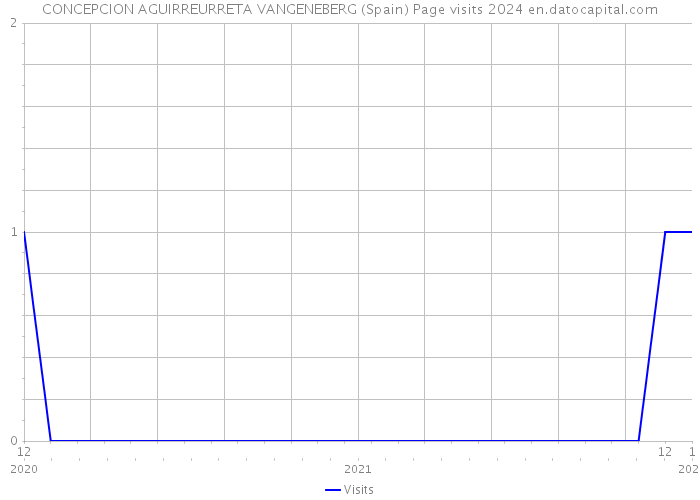 CONCEPCION AGUIRREURRETA VANGENEBERG (Spain) Page visits 2024 