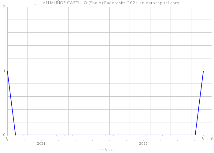 JULIAN MUÑOZ CASTILLO (Spain) Page visits 2024 