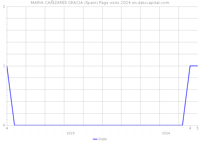 MARIA CAÑIZARES GRACIA (Spain) Page visits 2024 