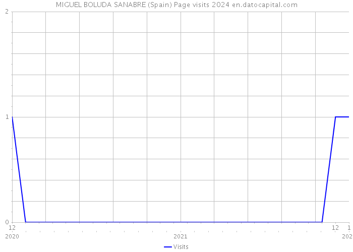 MIGUEL BOLUDA SANABRE (Spain) Page visits 2024 