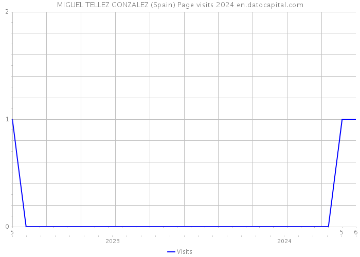 MIGUEL TELLEZ GONZALEZ (Spain) Page visits 2024 