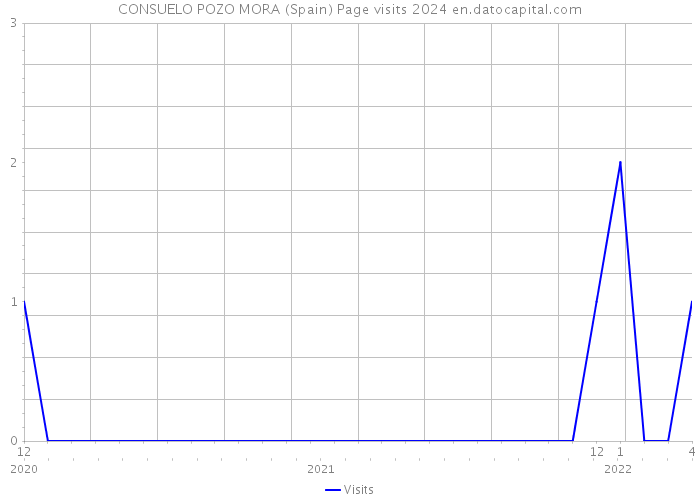 CONSUELO POZO MORA (Spain) Page visits 2024 