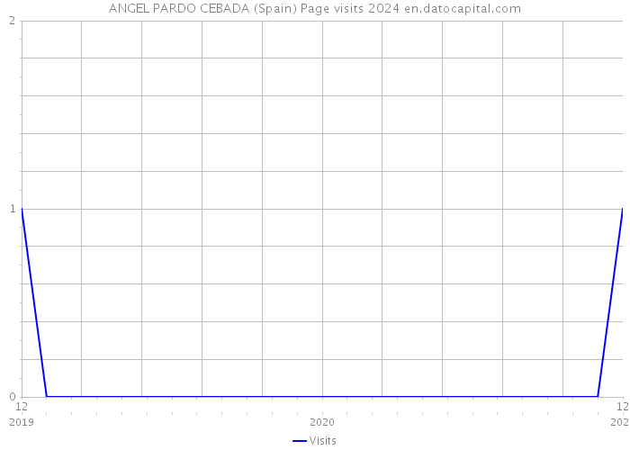 ANGEL PARDO CEBADA (Spain) Page visits 2024 
