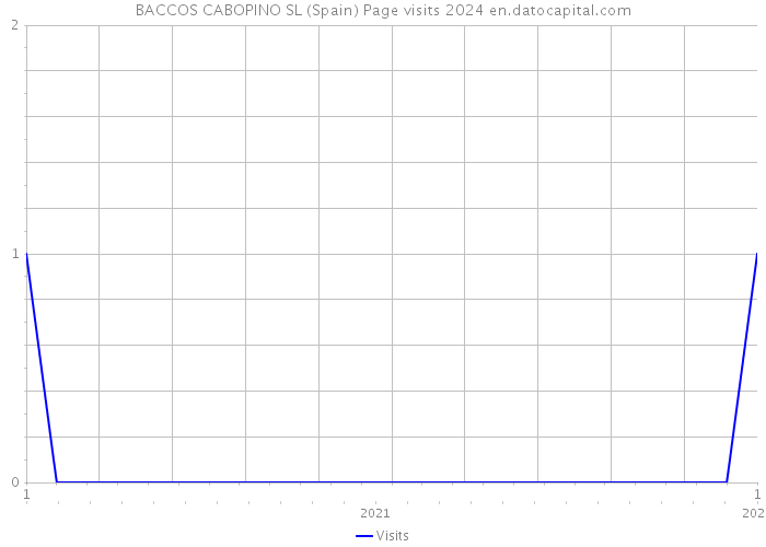 BACCOS CABOPINO SL (Spain) Page visits 2024 