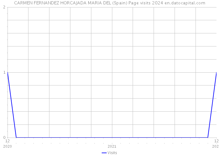 CARMEN FERNANDEZ HORCAJADA MARIA DEL (Spain) Page visits 2024 