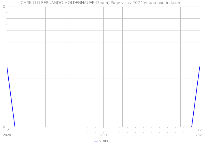CARRILLO FERNANDO MOLDENHAUER (Spain) Page visits 2024 
