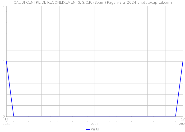 GAUDI CENTRE DE RECONEIXEMENTS, S.C.P. (Spain) Page visits 2024 