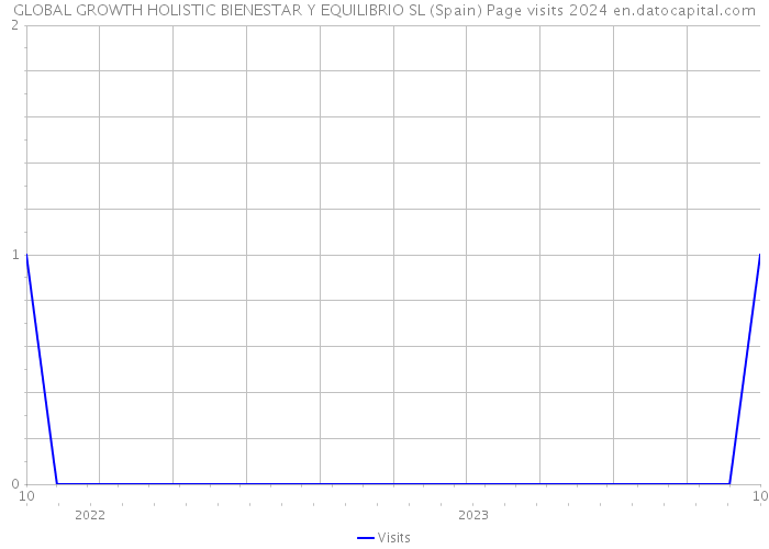 GLOBAL GROWTH HOLISTIC BIENESTAR Y EQUILIBRIO SL (Spain) Page visits 2024 