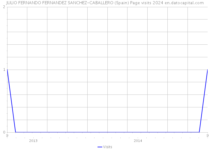 JULIO FERNANDO FERNANDEZ SANCHEZ-CABALLERO (Spain) Page visits 2024 