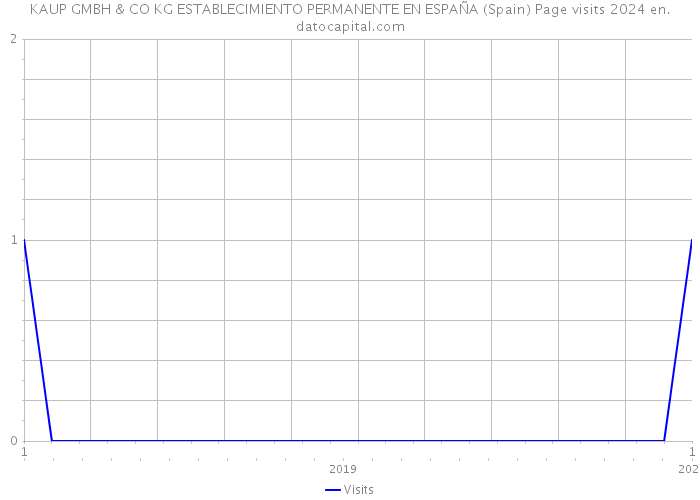 KAUP GMBH & CO KG ESTABLECIMIENTO PERMANENTE EN ESPAÑA (Spain) Page visits 2024 