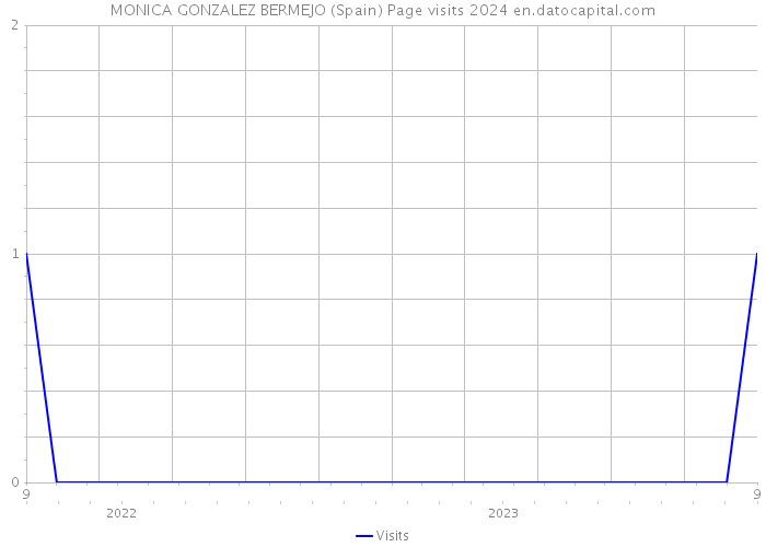 MONICA GONZALEZ BERMEJO (Spain) Page visits 2024 