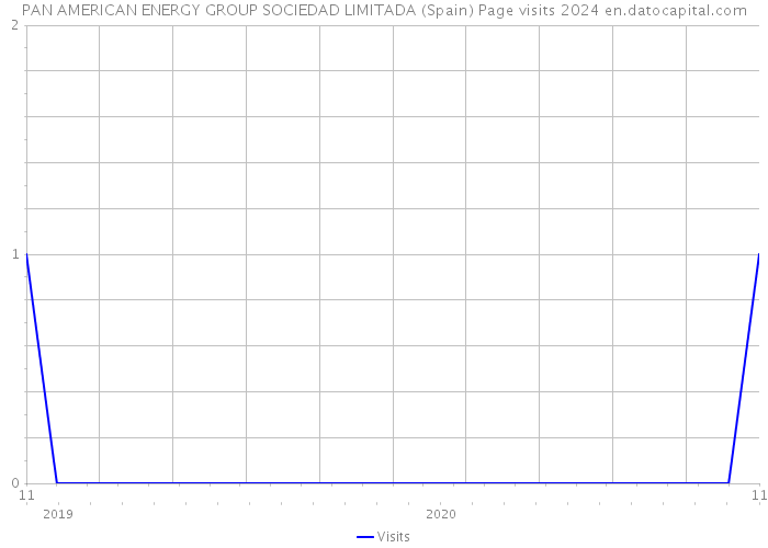 PAN AMERICAN ENERGY GROUP SOCIEDAD LIMITADA (Spain) Page visits 2024 