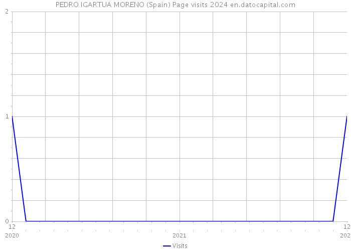 PEDRO IGARTUA MORENO (Spain) Page visits 2024 