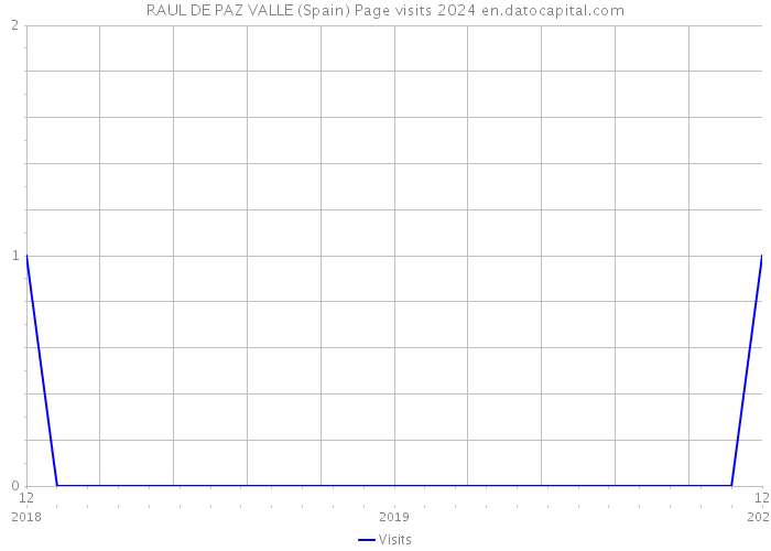 RAUL DE PAZ VALLE (Spain) Page visits 2024 