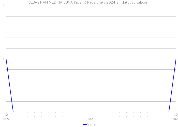 SEBASTIAN MEDINA LUNA (Spain) Page visits 2024 