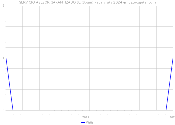SERVICIO ASESOR GARANTIZADO SL (Spain) Page visits 2024 