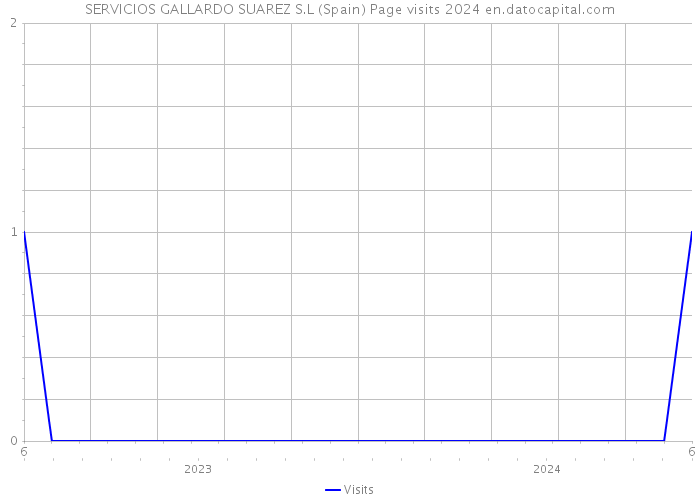 SERVICIOS GALLARDO SUAREZ S.L (Spain) Page visits 2024 