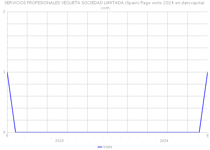 SERVICIOS PROFESIONALES VEGUETA SOCIEDAD LIMITADA (Spain) Page visits 2024 
