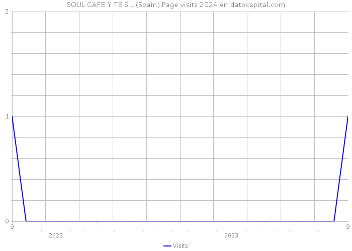 SOUL CAFE Y TE S.L (Spain) Page visits 2024 
