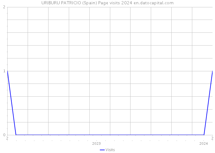 URIBURU PATRICIO (Spain) Page visits 2024 