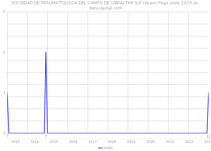 SOCIEDAD DE TRAUMATOLOGIA DEL CAMPO DE GIBRALTAR SLP (Spain) Page visits 2024 