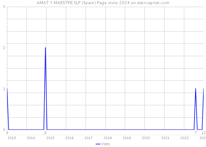 AMAT Y MAESTRE SLP (Spain) Page visits 2024 