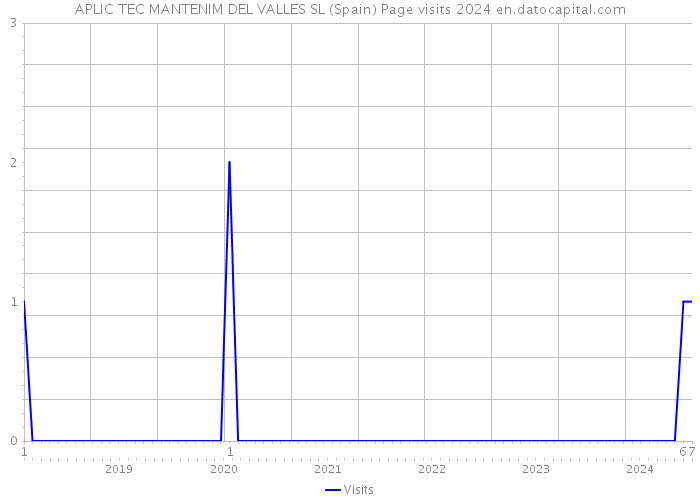 APLIC TEC MANTENIM DEL VALLES SL (Spain) Page visits 2024 