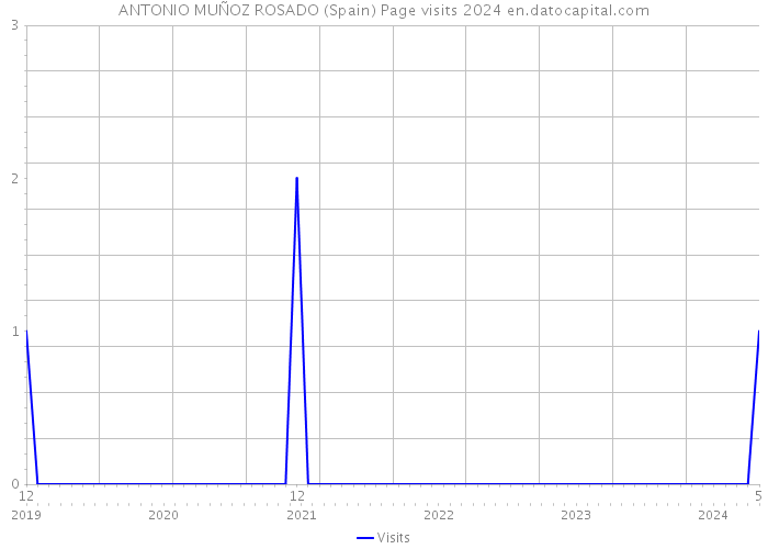 ANTONIO MUÑOZ ROSADO (Spain) Page visits 2024 