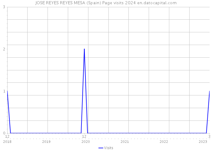 JOSE REYES REYES MESA (Spain) Page visits 2024 