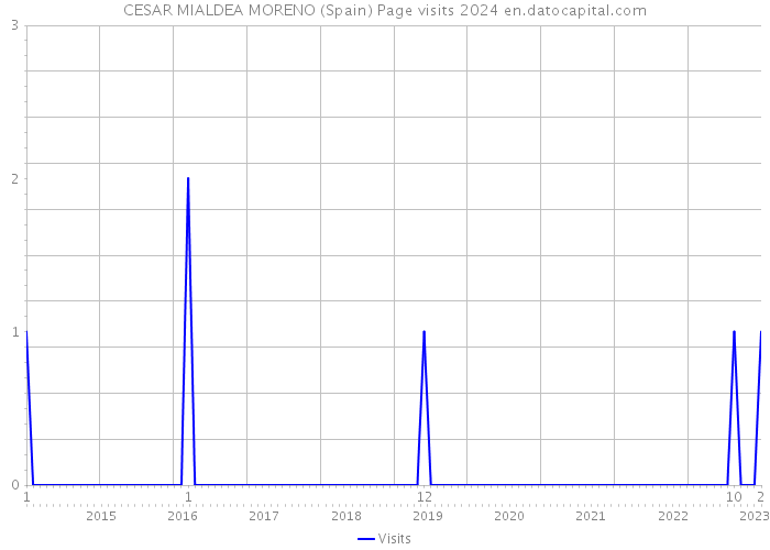 CESAR MIALDEA MORENO (Spain) Page visits 2024 