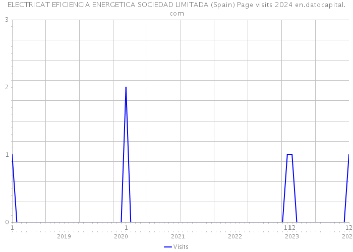 ELECTRICAT EFICIENCIA ENERGETICA SOCIEDAD LIMITADA (Spain) Page visits 2024 