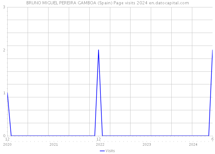 BRUNO MIGUEL PEREIRA GAMBOA (Spain) Page visits 2024 