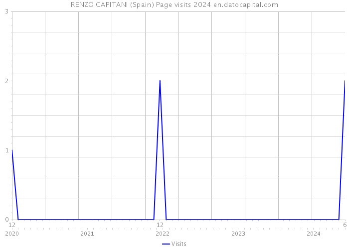 RENZO CAPITANI (Spain) Page visits 2024 