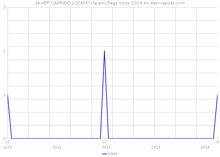JAVIER GARRIDO LOZANO (Spain) Page visits 2024 