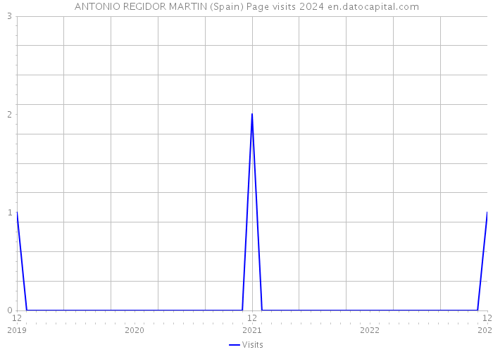 ANTONIO REGIDOR MARTIN (Spain) Page visits 2024 