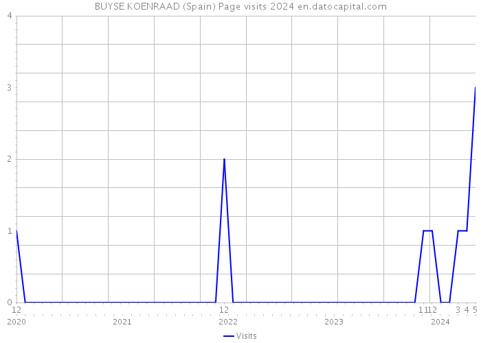 BUYSE KOENRAAD (Spain) Page visits 2024 