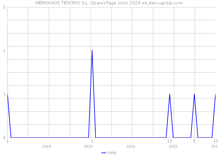 HERMANOS TENORIO S.L. (Spain) Page visits 2024 