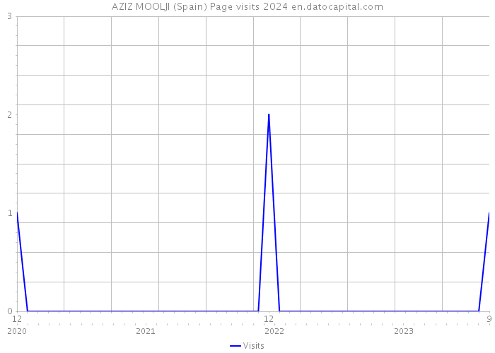 AZIZ MOOLJI (Spain) Page visits 2024 